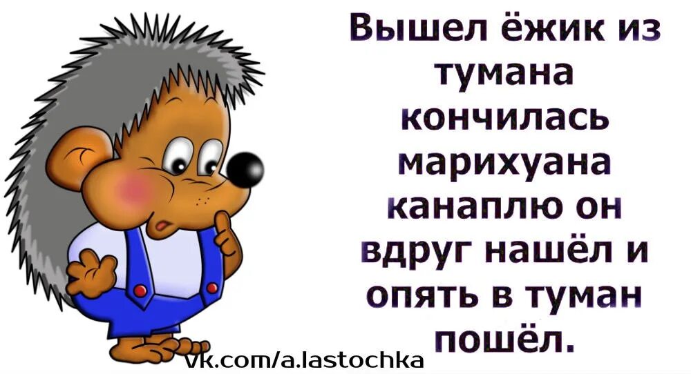 Стишки про ежика прикольные. Еж прикол. Стих про Ёжика и травку. Стих про ежика смешной. Еж поговорки