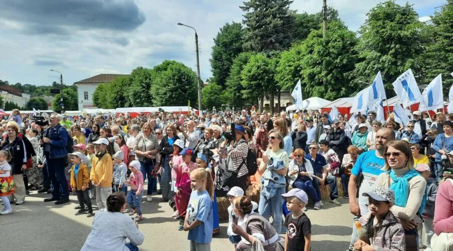 Таруса петухи гуси. Петухи и гуси в городе тарусе фестиваль. петухи и гуси в городе тарусе 2025. город петушки.
