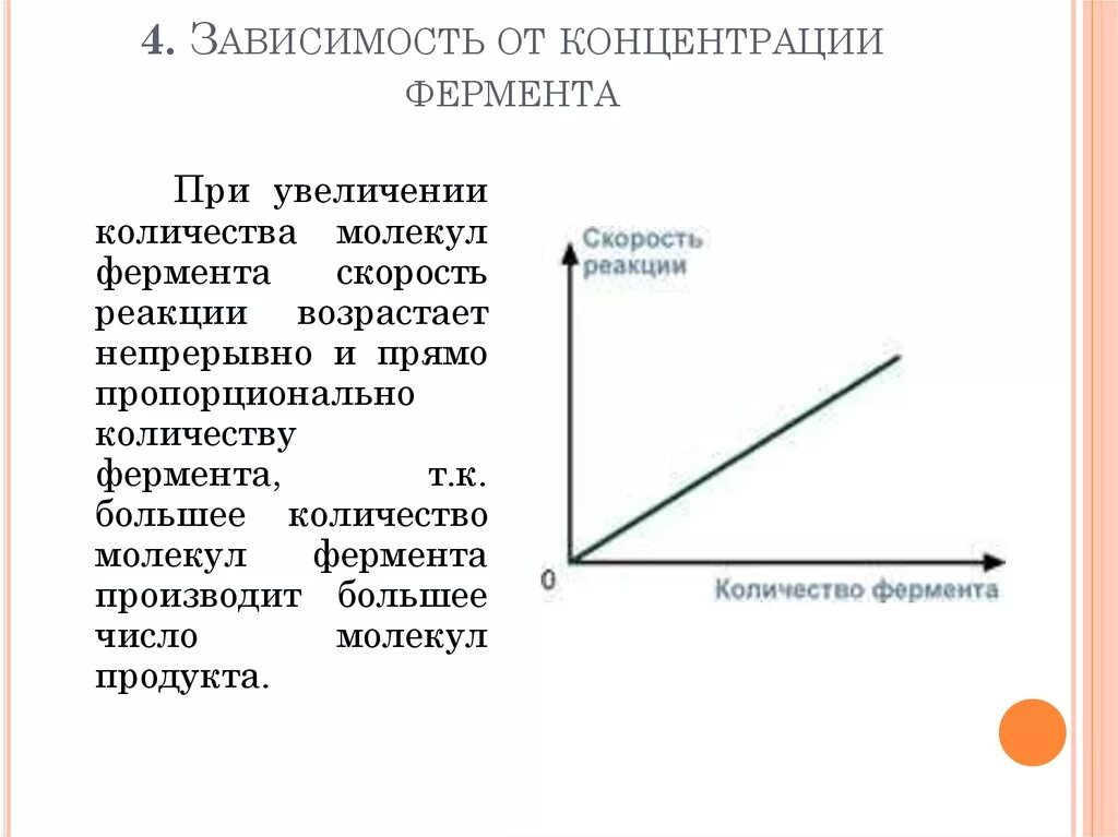 Зависимость скорости реакции от фермента. Зависимость скорости реакции от фермента