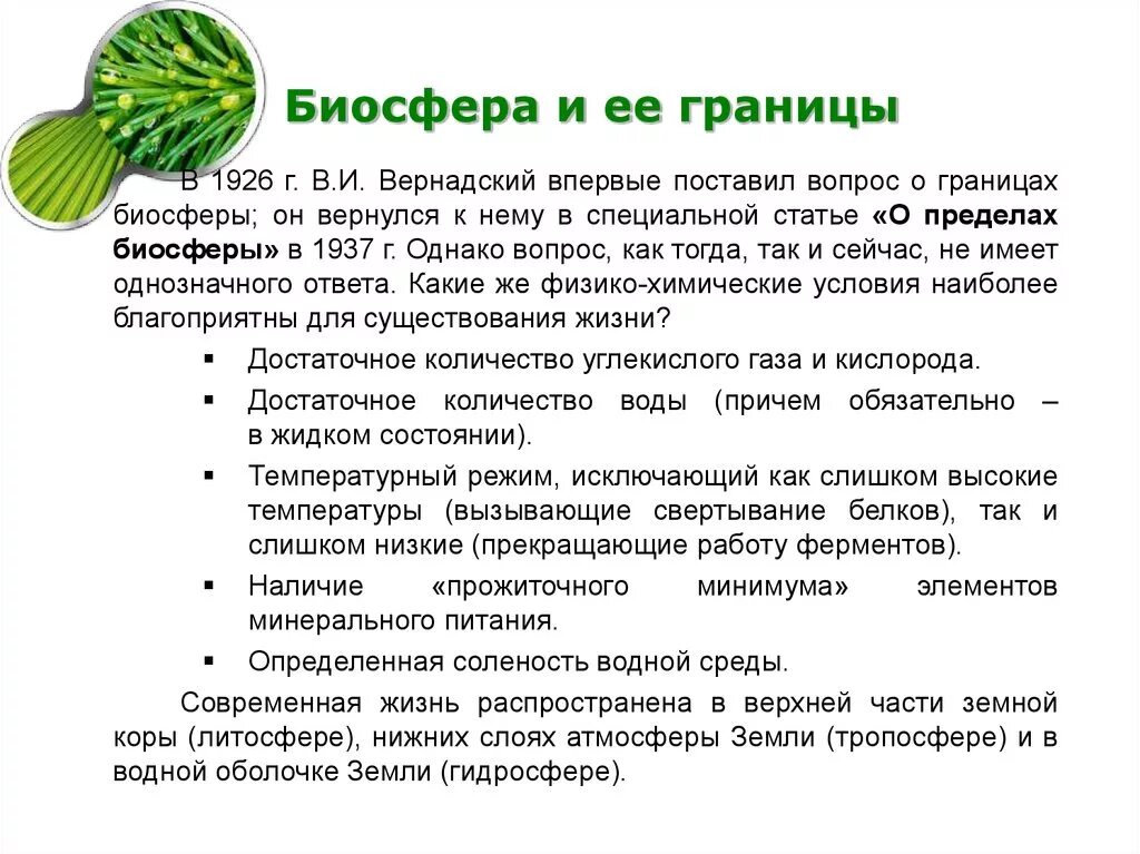 Какая роль человека в биосфере. Значение биосферы. Интересные факты о биосфере. Значение биосферы для человека. Значение биосферы кратко.