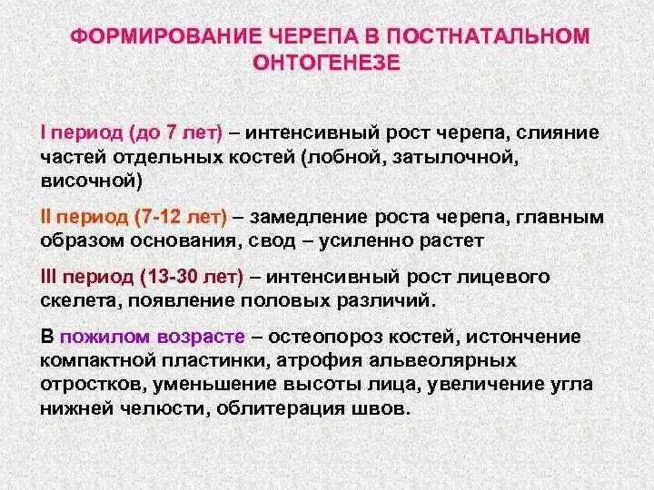 Какие этапы проходит человек после рождения. Развитие черепа в постнатальном онтогенезе. Этапы развития черепа в онтогенезе. Развитие черепа в онтогенезе кратко. Онтогенез этапы развития.