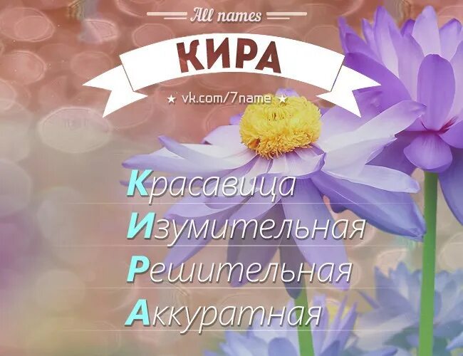 Сколько живут киры