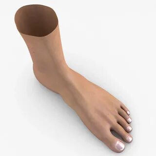 Foot модели