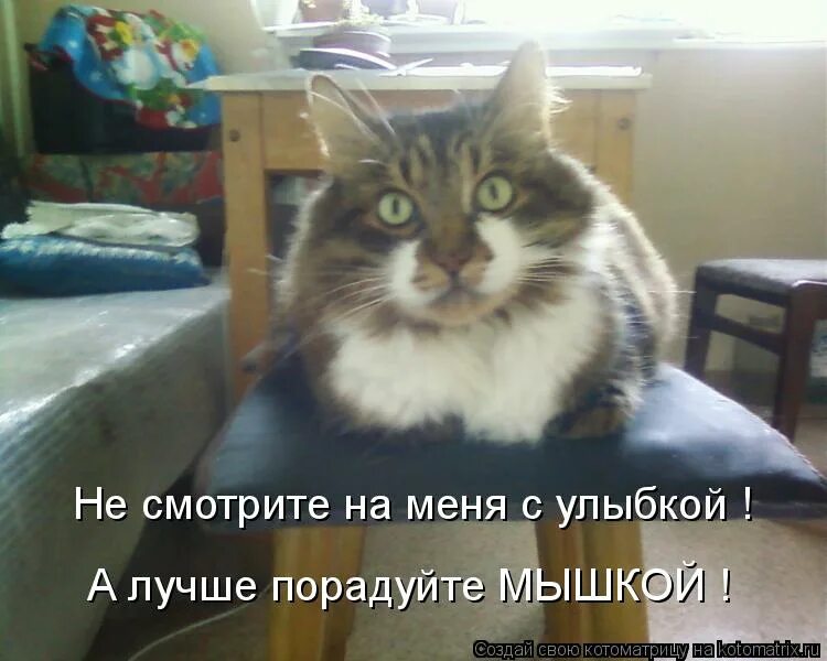 Вася функции. Вася красивый. уай вася красиво. прекрасно вася. кукаяка вася красивве.