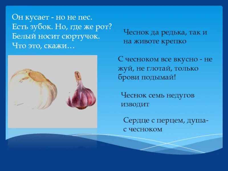 Чеснок по лбу. Скажи чеснок. Лук по лбу стук чеснок. Скажи чеснок прикол. Шутка про чеснок скажи чеснок.