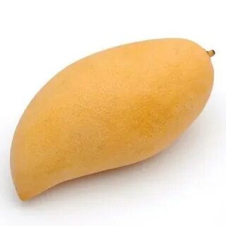 Mango bill