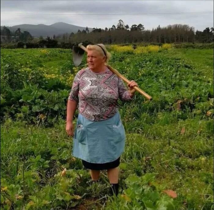Бабушка в огороде. Женщина в огороде. Баба на грядке. Бабушка на грядке.