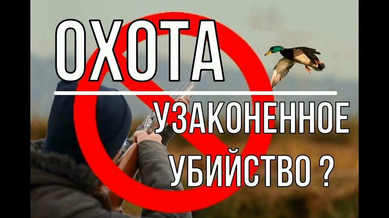 Узакониванию или узаканиванию. Узакониваем или узаканиваем. Узаконить самовольную постройку. Чем декриминализация отличается от легализации. Узаконивание.
