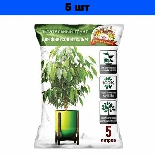 Какая земля для фикусов