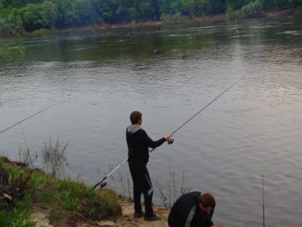 озеро селянское рязань рыбалка. рыбалка в рязани 62. рыбалка в рязани 62. рыбалка в рязани 62. рыбалка в рязани 62.