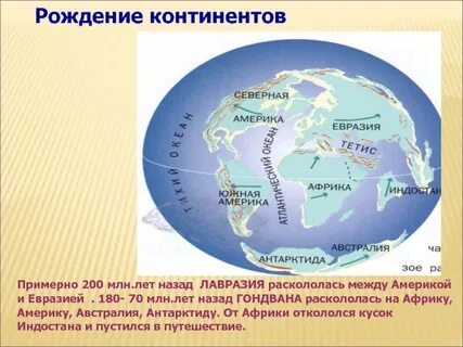 Какие материки северные