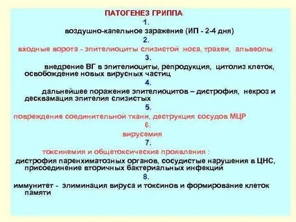 Грипп патогенез