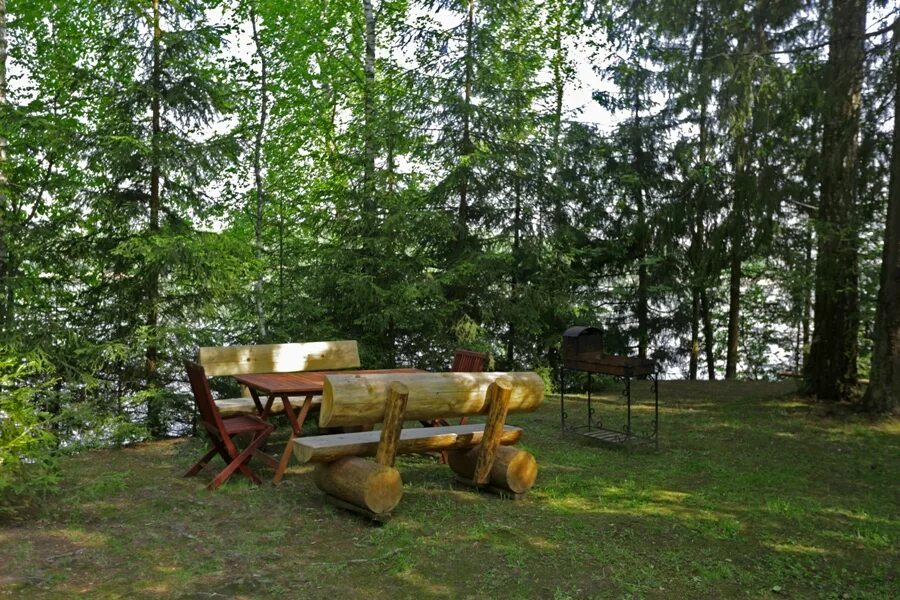 лесные поляны 42. 17 клиника в москве наркологическая больница. роща бор опушка. березовая роща поляна. незабудка лесная полянка.