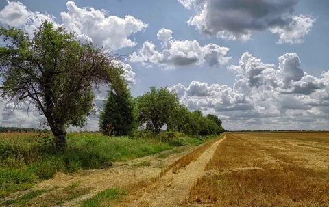 Был июльский день
