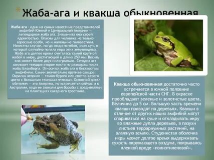Текст жаба