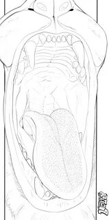 VWD: Panel 385 line-art. 