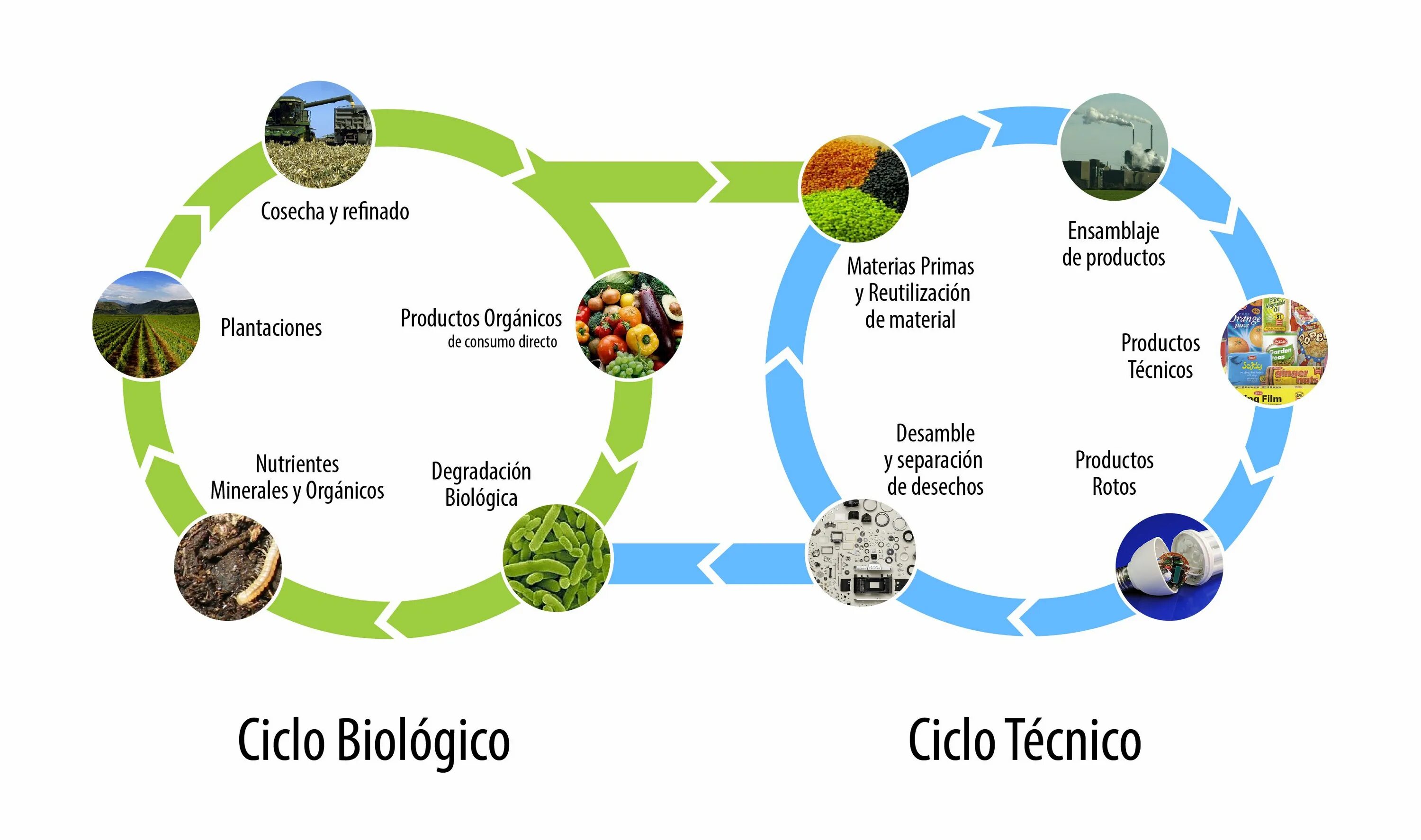 Biological Cycle. Cycle of waste. Biological resources. From waste to resources. Different resources