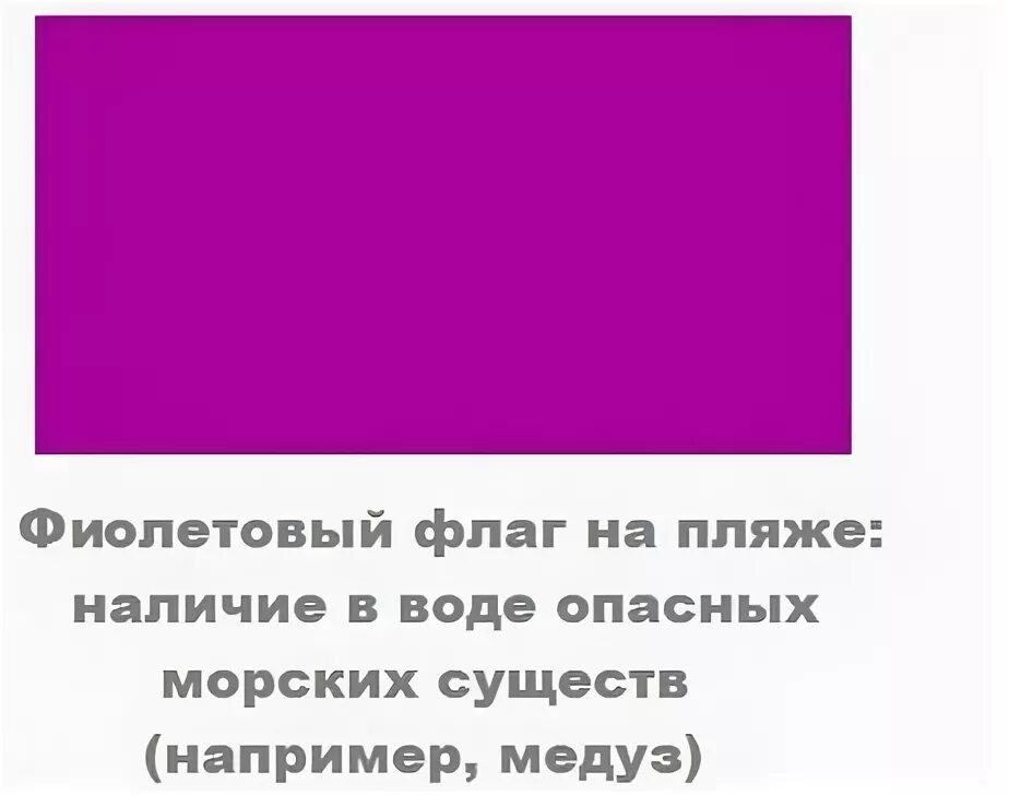 Флаг с фиолетовым цветом. Розово фиолетовый флаг. Фиолетовый цвет в психологии. Что значит фиолетовый цвет на флаге. Серо фиолетовый флаг