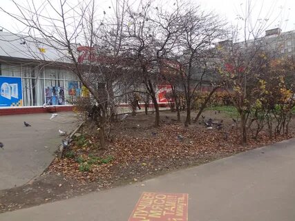 Чертановская 9 стр