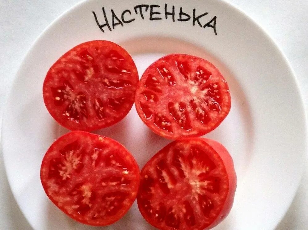 Сорт томатов настенька. Томат настенька семена. томат настенька семена алтая. сорт помидор настенька. томат настя и настенька.