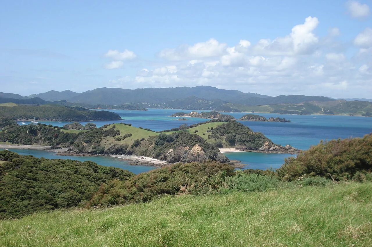 New zealand two islands. Новая Зеландия Северный остров. Залив островов новая Зеландия. О Северный новая Зеландия. Оклендские острова новая Зеландия.