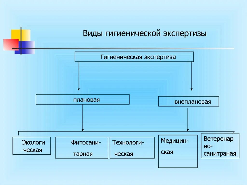 Санитарно гигиеническая экспертиза виды. Виды санитарно-гигиенической экспертизы продуктов. Виды гигиенической экспертизы. Виды санитарной экспертизы. Виды гигиенических экспертиз продуктов.