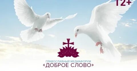 Форум добра отзывы