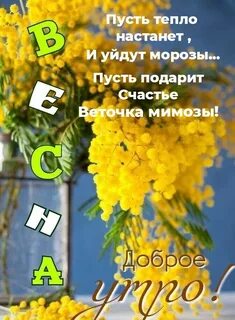 14 утра