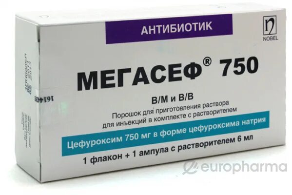 Мегасеф. Мегасеф 750 мг 6мл 1 порошок для приготовления раствора для инъекций. уколы мегасеф 750 мл. мегасеф 500 мг уколы. мегасеф 750мг+растворит.
