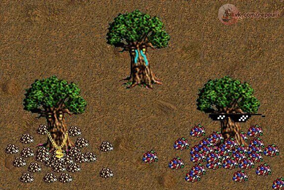 Tree heroes