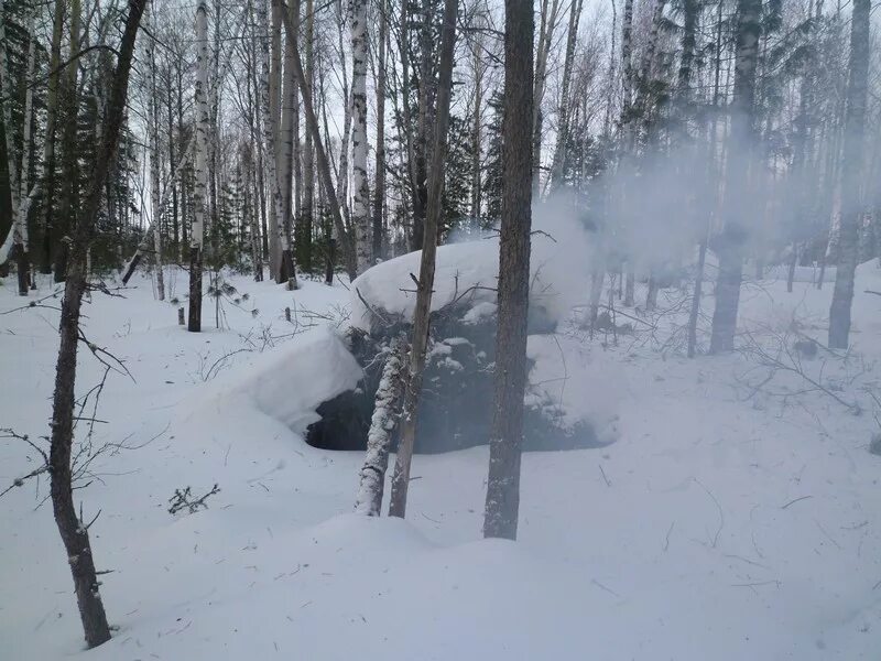 Медведь зимой в берлоге. Берлога медведя зимой в лесу. Зимняя Берлога медведя. Берлога зимой. Свет берлога