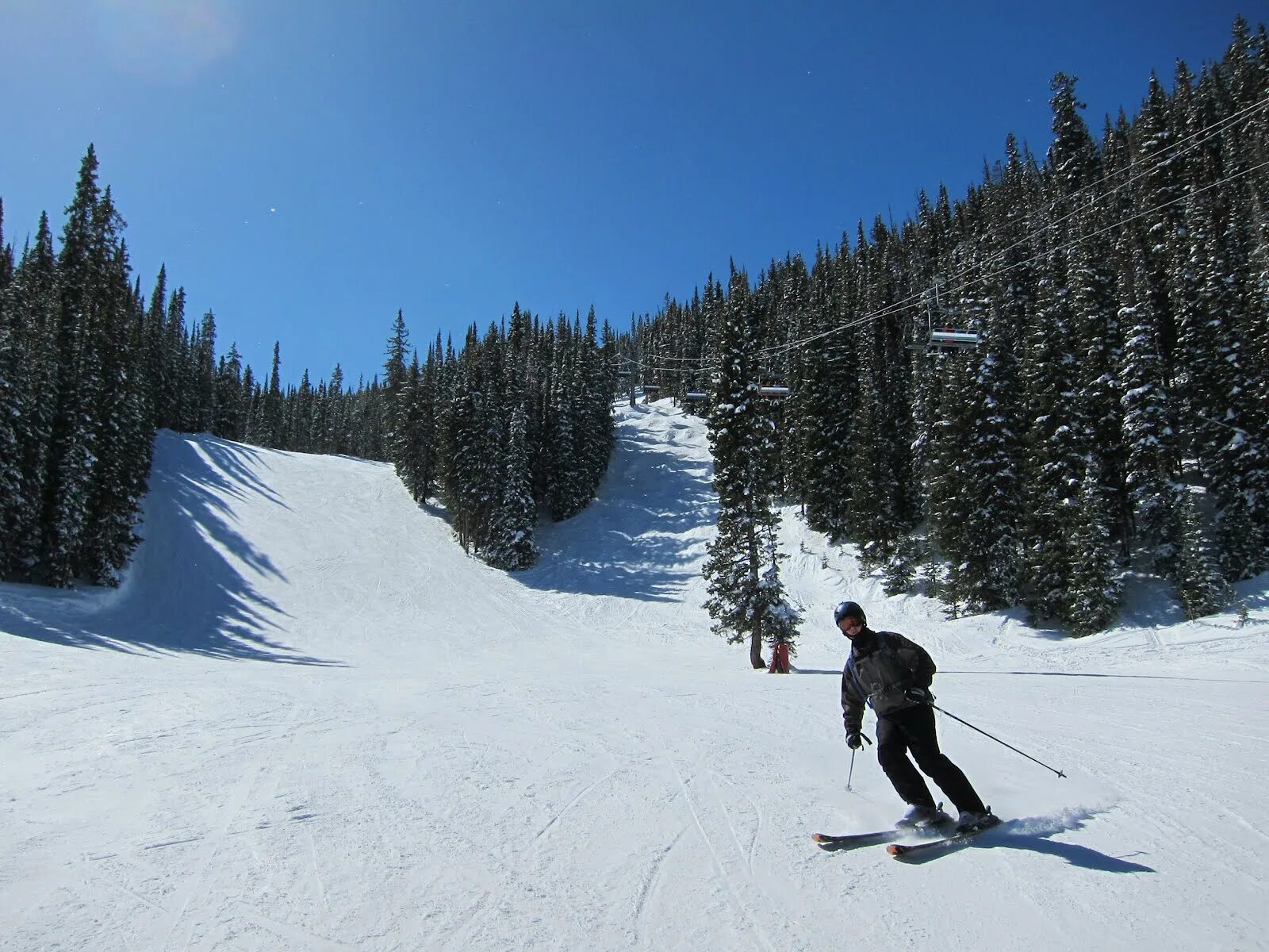 Ski trip. Горнолыжный курорт Долина Вэйл. Горнолыжный курорт Долина Вэйл подъёмники. Медведь на горнолыжном курорте. Долина x Тула.