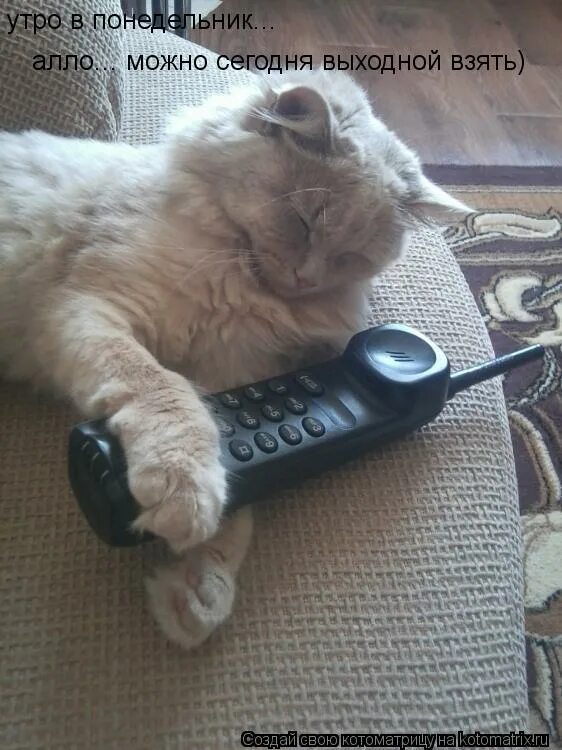 сегодня выходной картинки. у меня выходной. выходной посплю. что означает выходной. сегодня выходной.