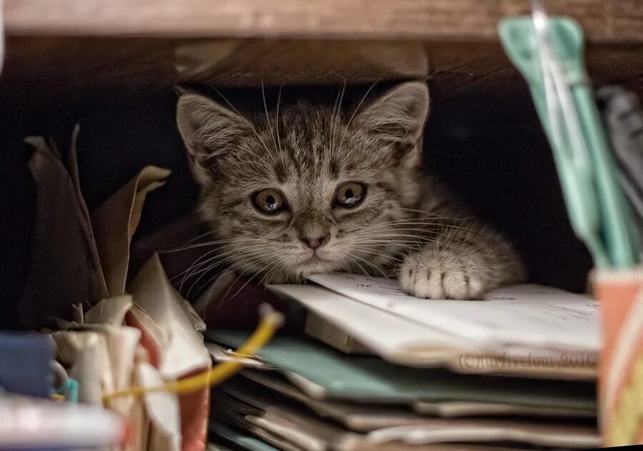 А чего дома сидеть читать