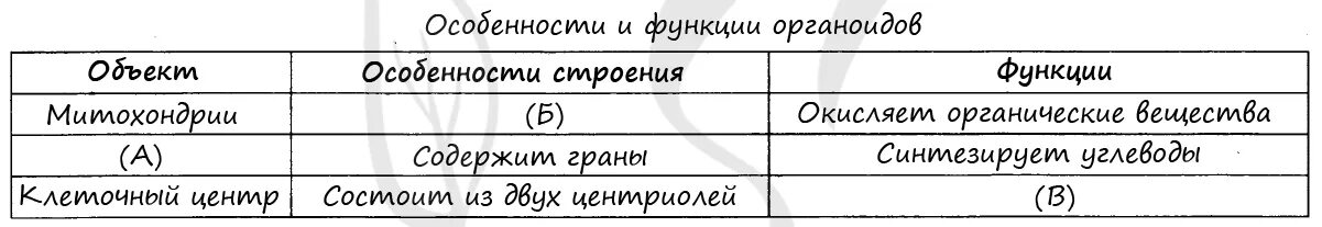 Конспект и презентация урока по биологии на тему "Строение животной клетки", 6 к