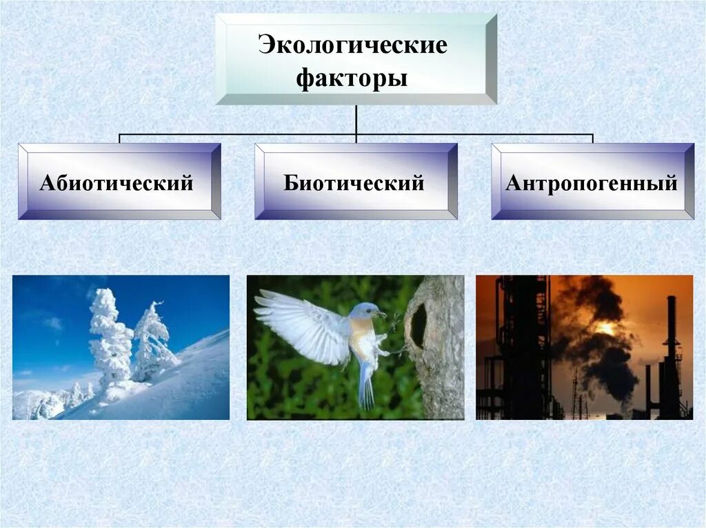 Экологические факторы. Факторы среды экологические факторы. Абиотические и биотические экологические факторы. Экологические факторы биотические и антропогенные. Группы экологических факторов 7 класс