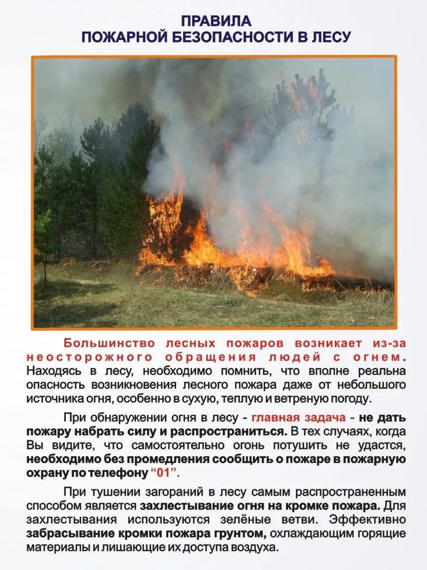 Ппб в лесах. Памятка пожар в лесу. пожарная безопасность в лесах памятка. памятка по пожарам в лесу. памятка в лес от пожаров.