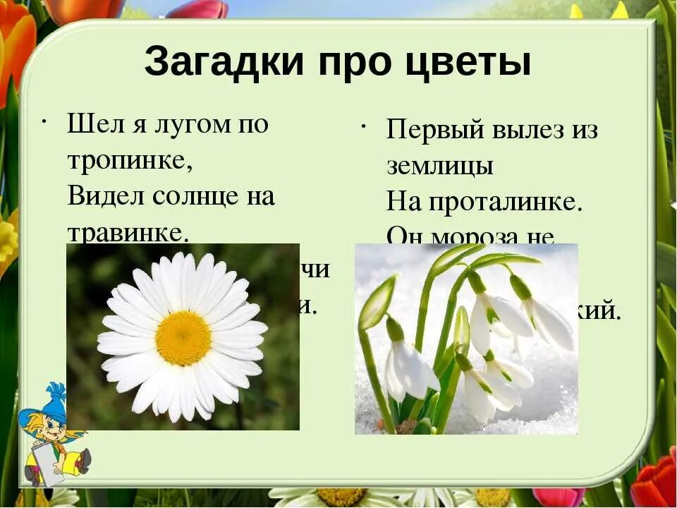 Загадка цветов 3
