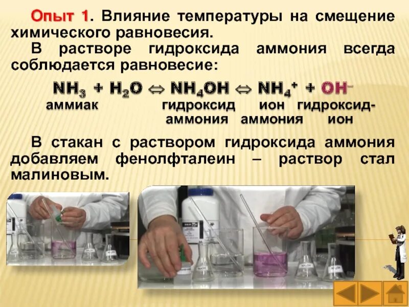 Влияние температуры на смещение химического. Влияние температуры на смещение химического равновесия. Смещение равновесия в растворе аммиака. Опыт равновесие в растворе аммиака.