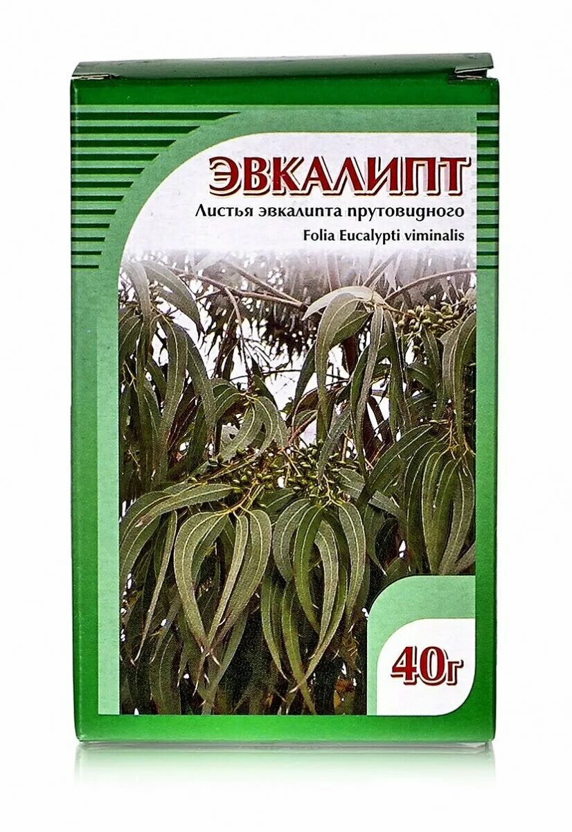 листья лавра благородного. дамиана чай. лавр лист. вишня лист сушеный. листья кофирского лайма.