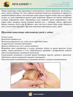 У собак уши что делать