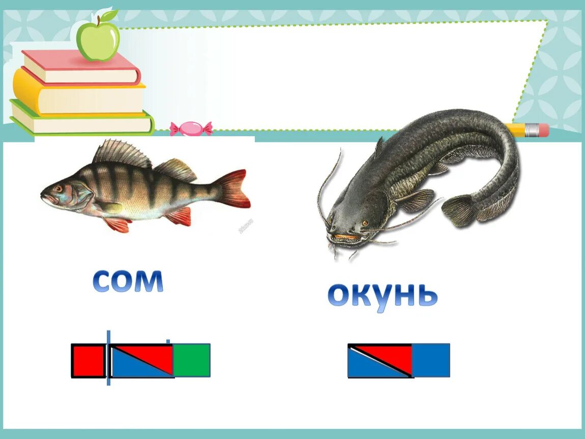 Схема слова сом 1 класс. Окунь схема 1 класс. Схема слова окунь. Окунь звуковая схема. Звуковой анализ окунь.