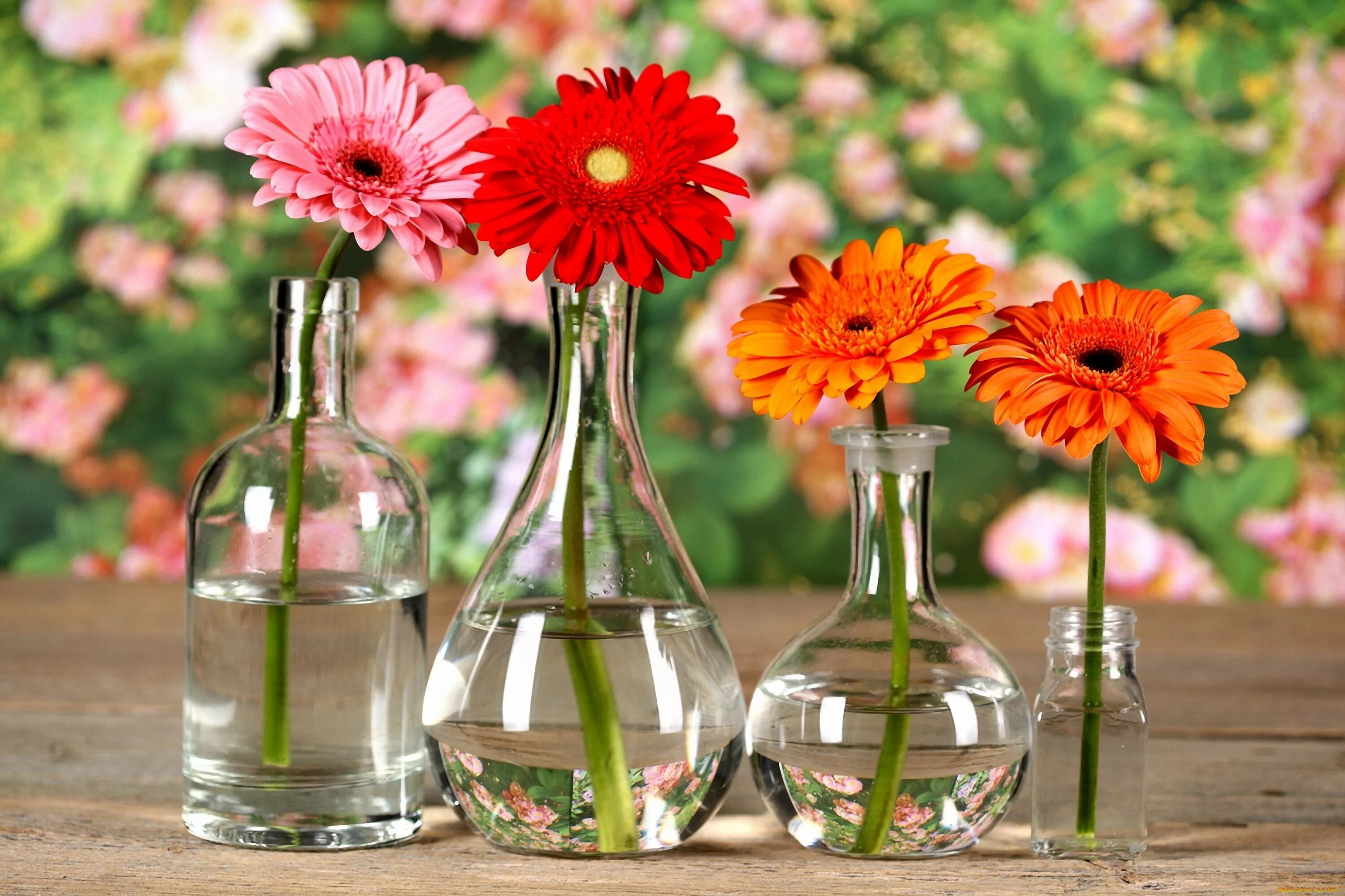 Цветы в прозрачной вазе. Цветы в бутылке. Цветочки в вазочке. Яркие цветочки в красивой вазочке. Герберы ударение