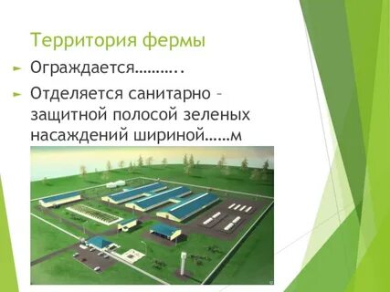 Территория фермы