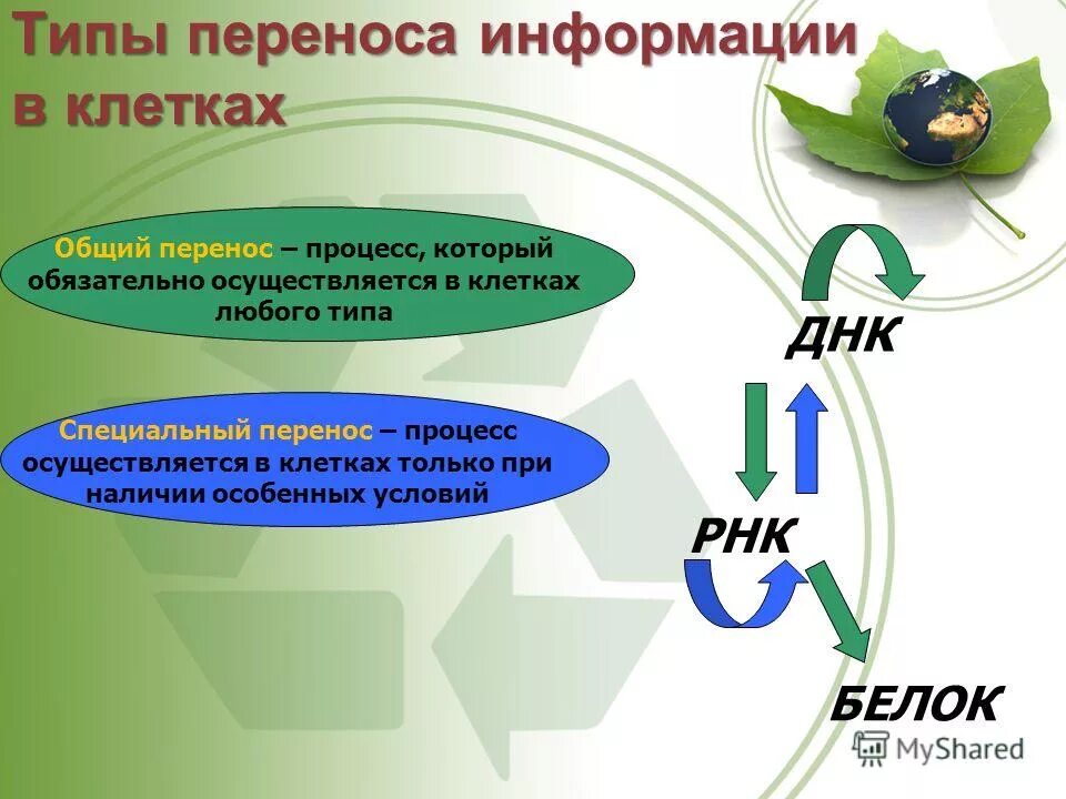 Перенос наследственной информации