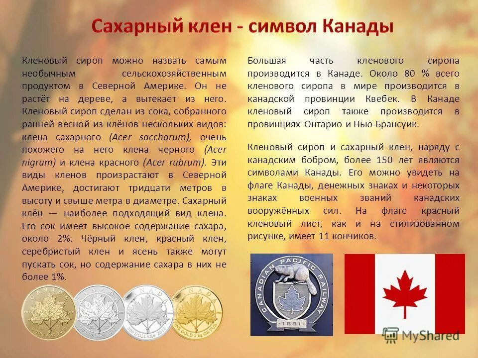 известные русские герои. сахарный клен символ канады. красивые имена для девочек. сочинение кого можно назвать лучшим другом. его можно назвать самым.