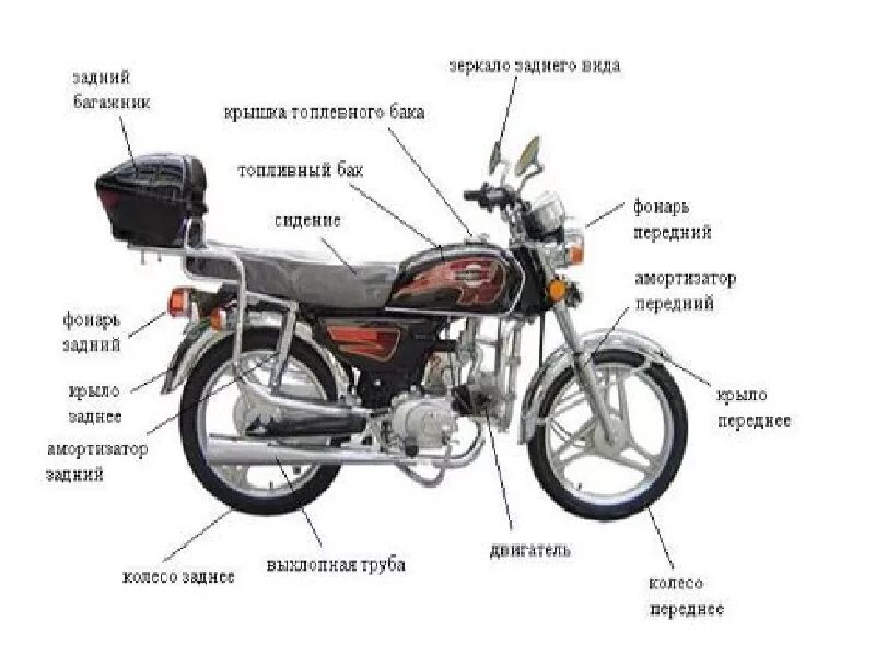 Как собрать мопед альфа. Мопед Альфа 110 строение. Мопед Альфа 50 органы управления. Из чего состоит мопед Альфа 50. Детали мопеда Альфа с названиями.