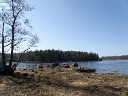 Гисметео ленинградская область выборгский