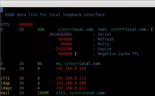 Dns linux. Серверы dns linux. dns soa bind. прямая зона bind. dns bind gui.