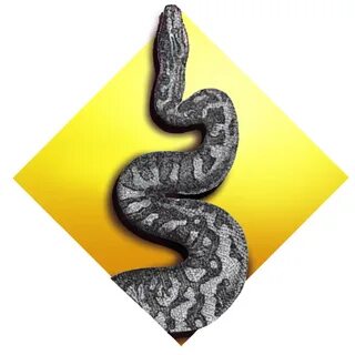 Python заглавные и строчные буквы